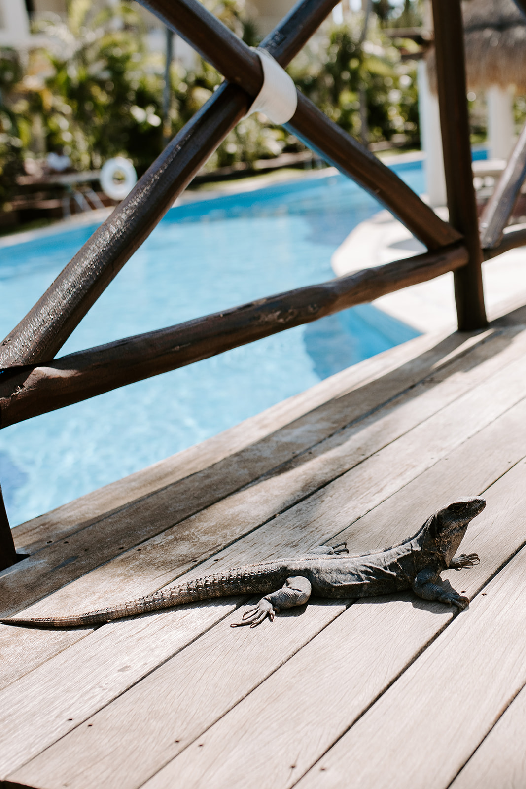 Kennedy and Oscar's Cancun wedding: Details, selected photograph 54